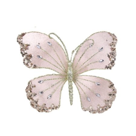 538002 Champagne Butterfly
