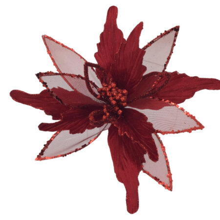 538291 Red Poinsettia