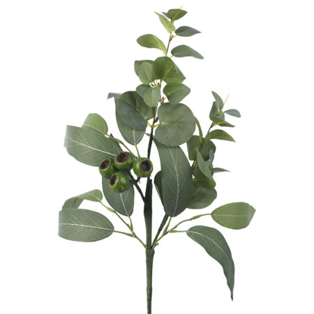 538255 Eucalyptus Pick